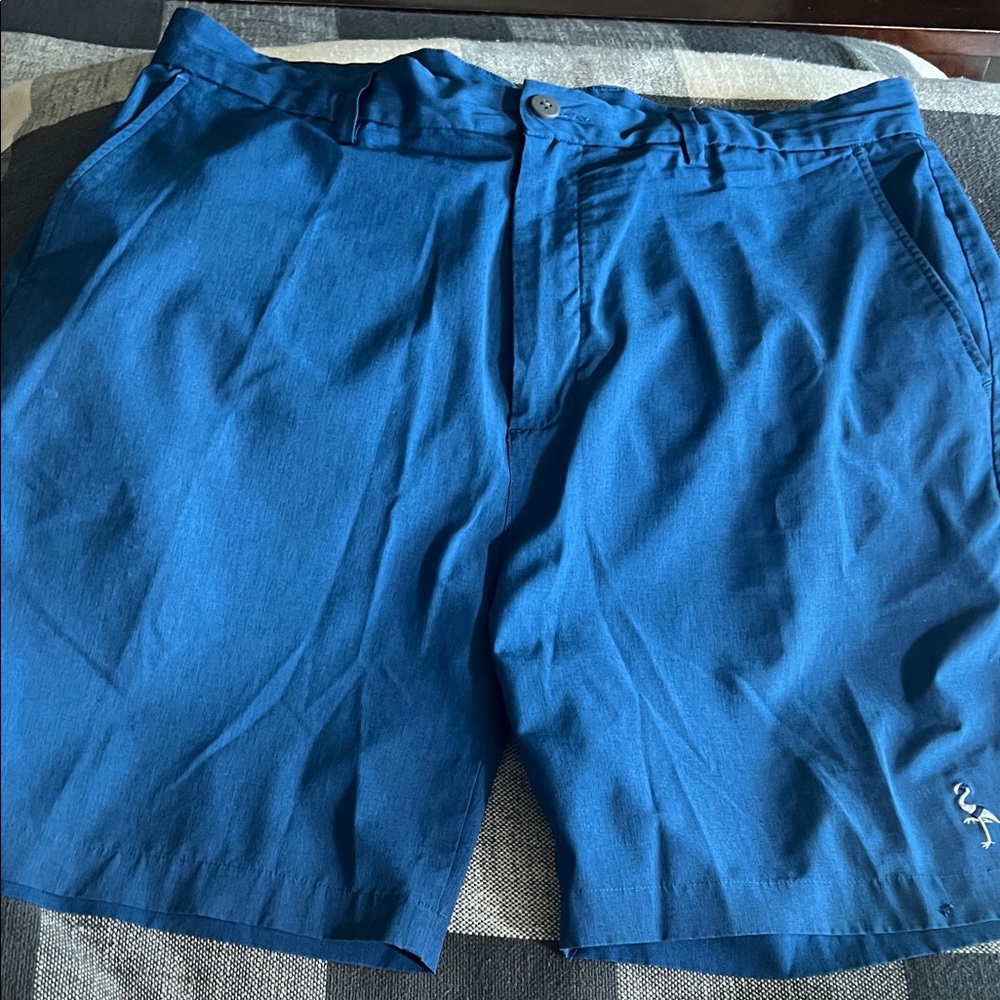 Tailorbyrd Blue Flat Front Men Shorts